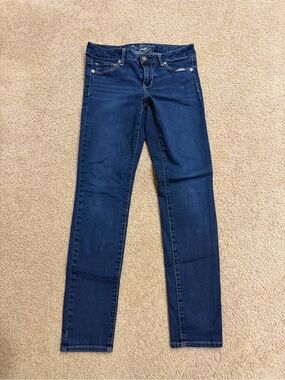 American Eagle Outfitters Dark Blue Skinny Jeans